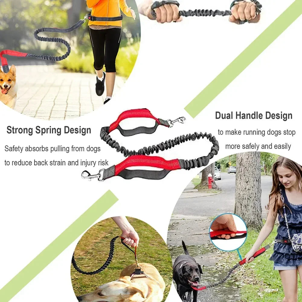 Hands-Free Retractable Dog Leash | Adjustable Waist Running Lead