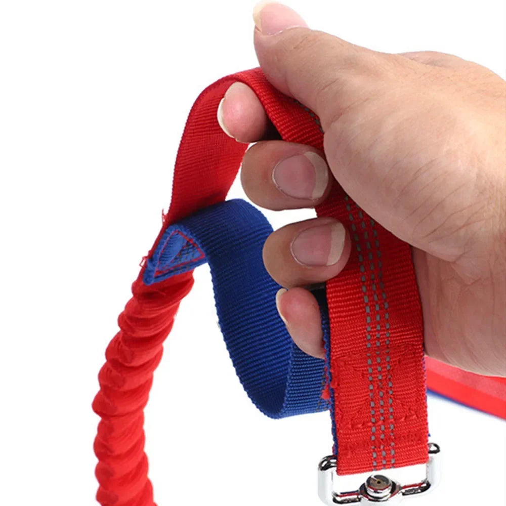 Hands-Free Retractable Dog Leash | Adjustable Waist Running Lead