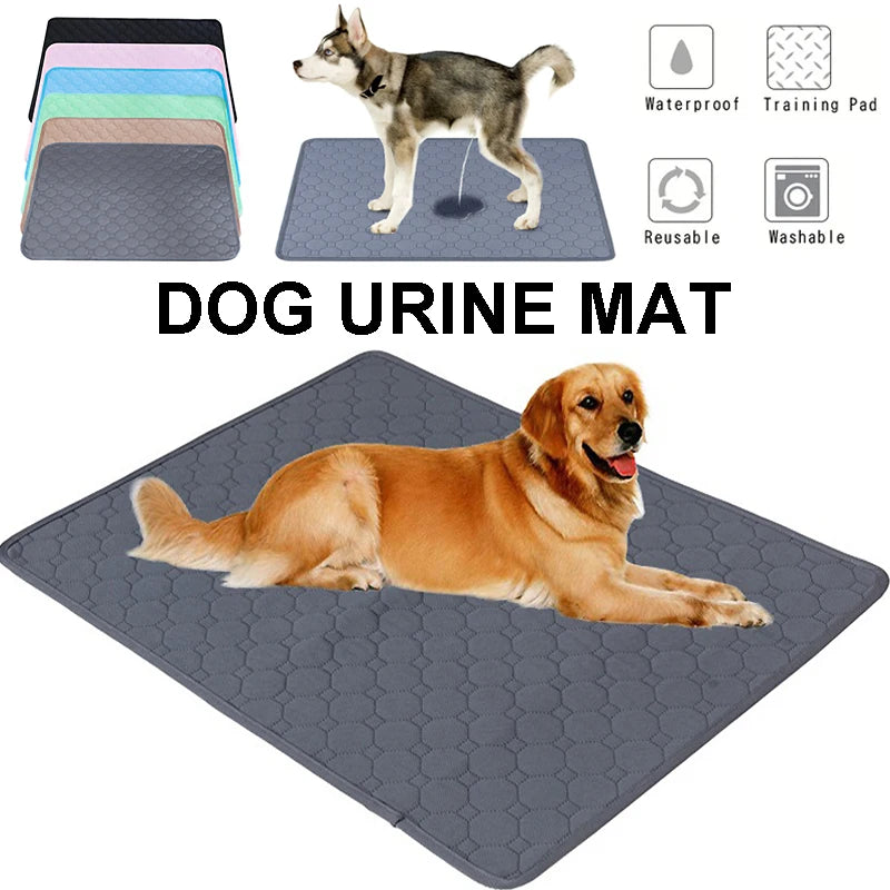 Washable Reusable Dog Pee Pad | Absorbent Puppy Training Mat