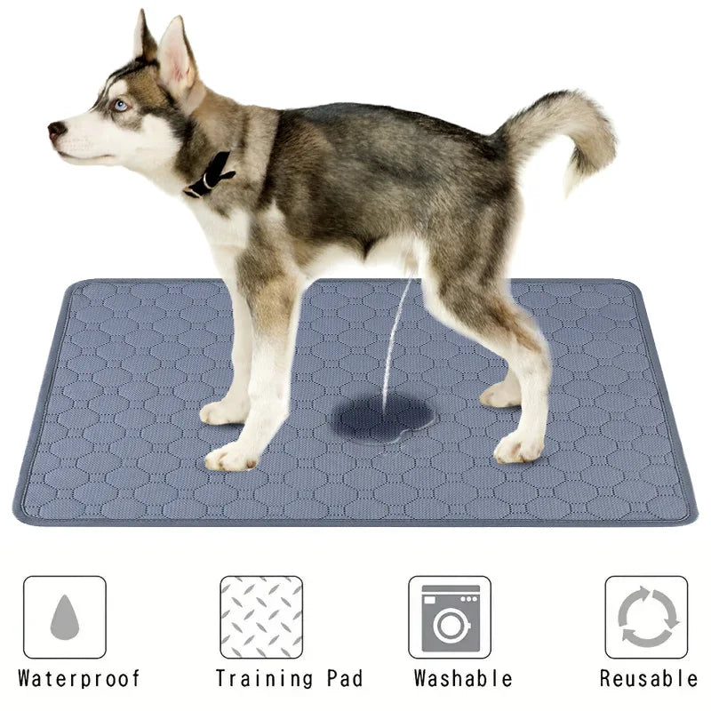 Washable Reusable Dog Pee Pad | Absorbent Puppy Training Mat