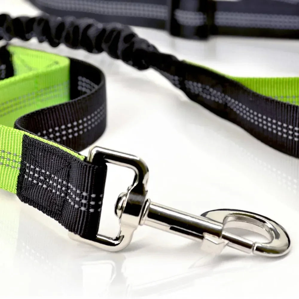 Hands-Free Retractable Dog Leash | Adjustable Waist Running Lead