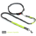 Hands-Free Retractable Dog Leash | Adjustable Waist Running Lead