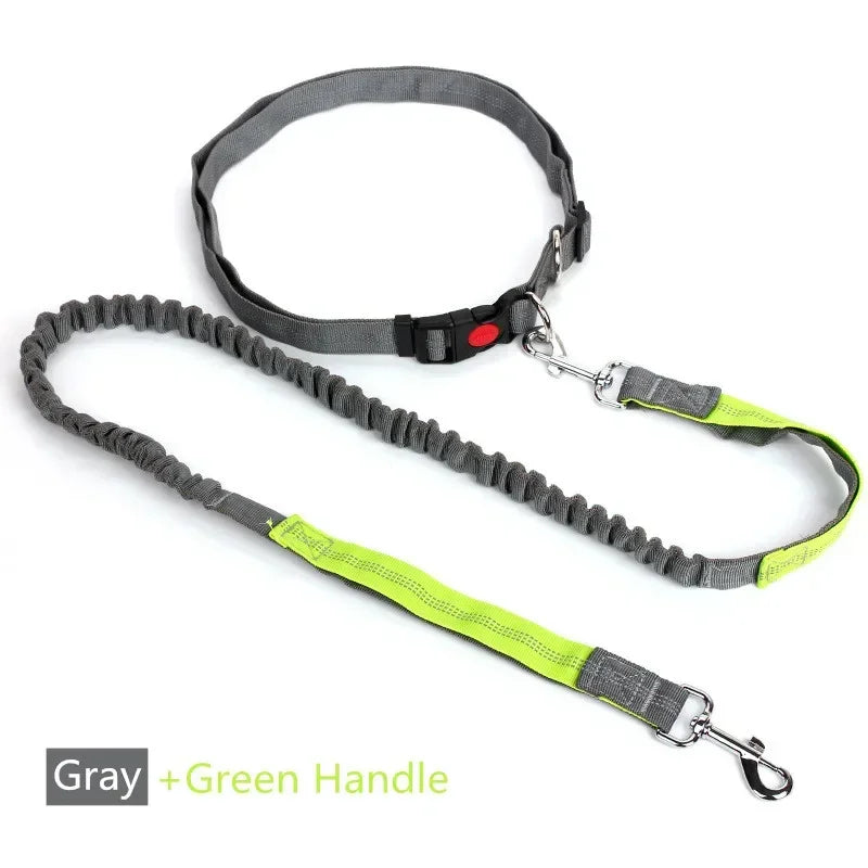 Hands-Free Retractable Dog Leash | Adjustable Waist Running Lead