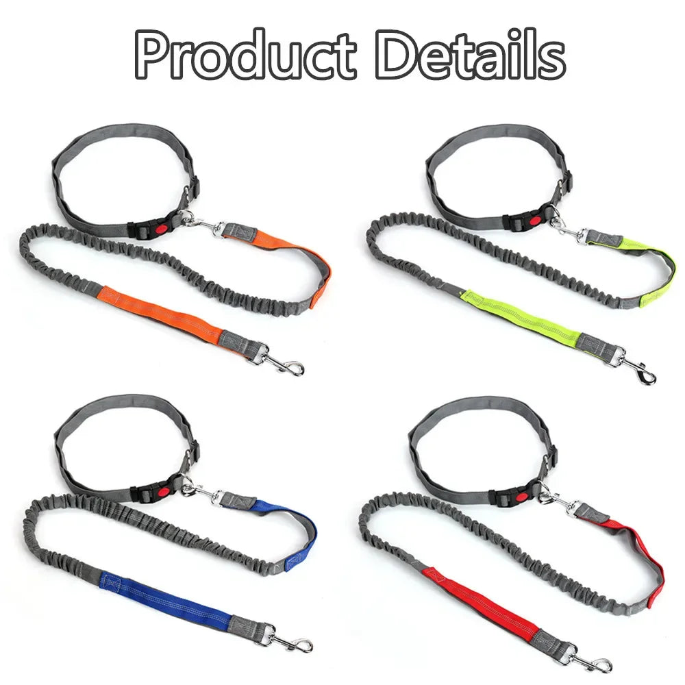 Hands-Free Retractable Dog Leash | Adjustable Waist Running Lead