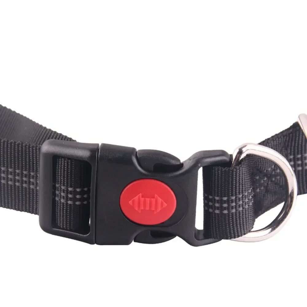 Hands-Free Retractable Dog Leash | Adjustable Waist Running Lead