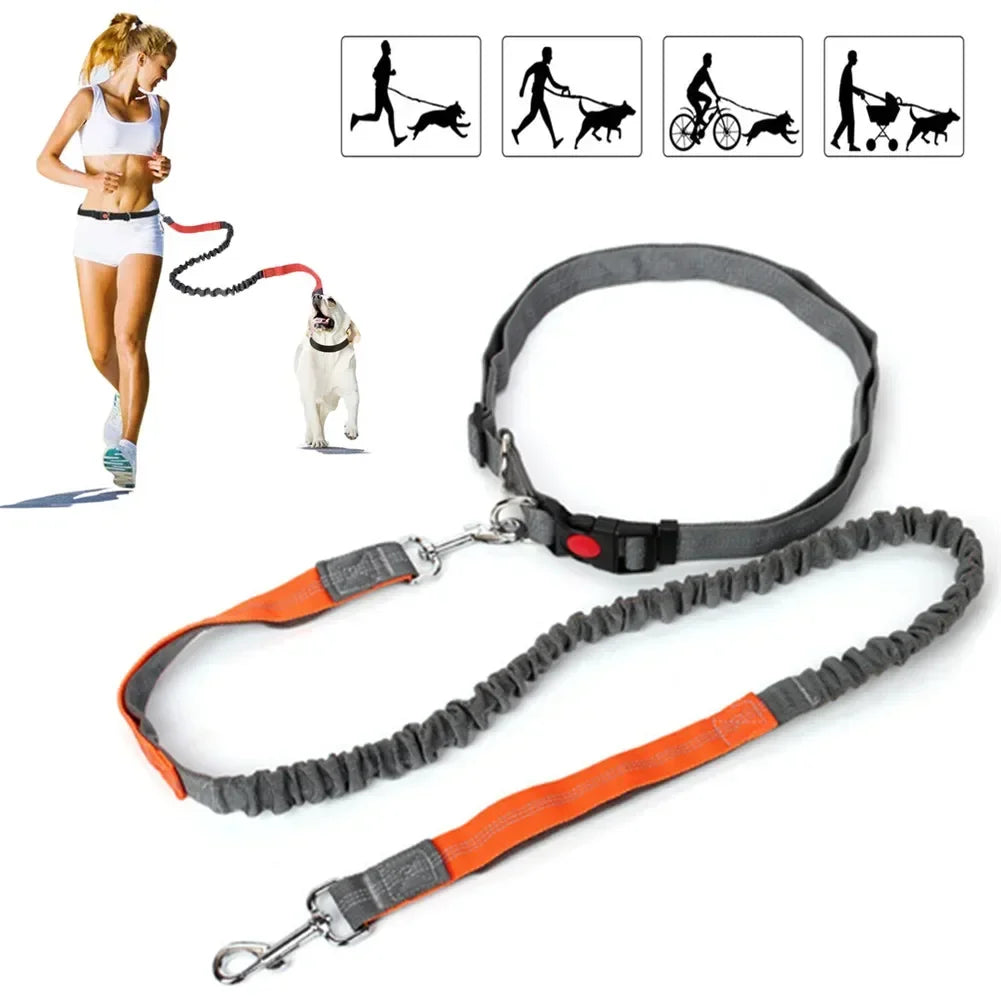 Hands-Free Retractable Dog Leash | Adjustable Waist Running Lead